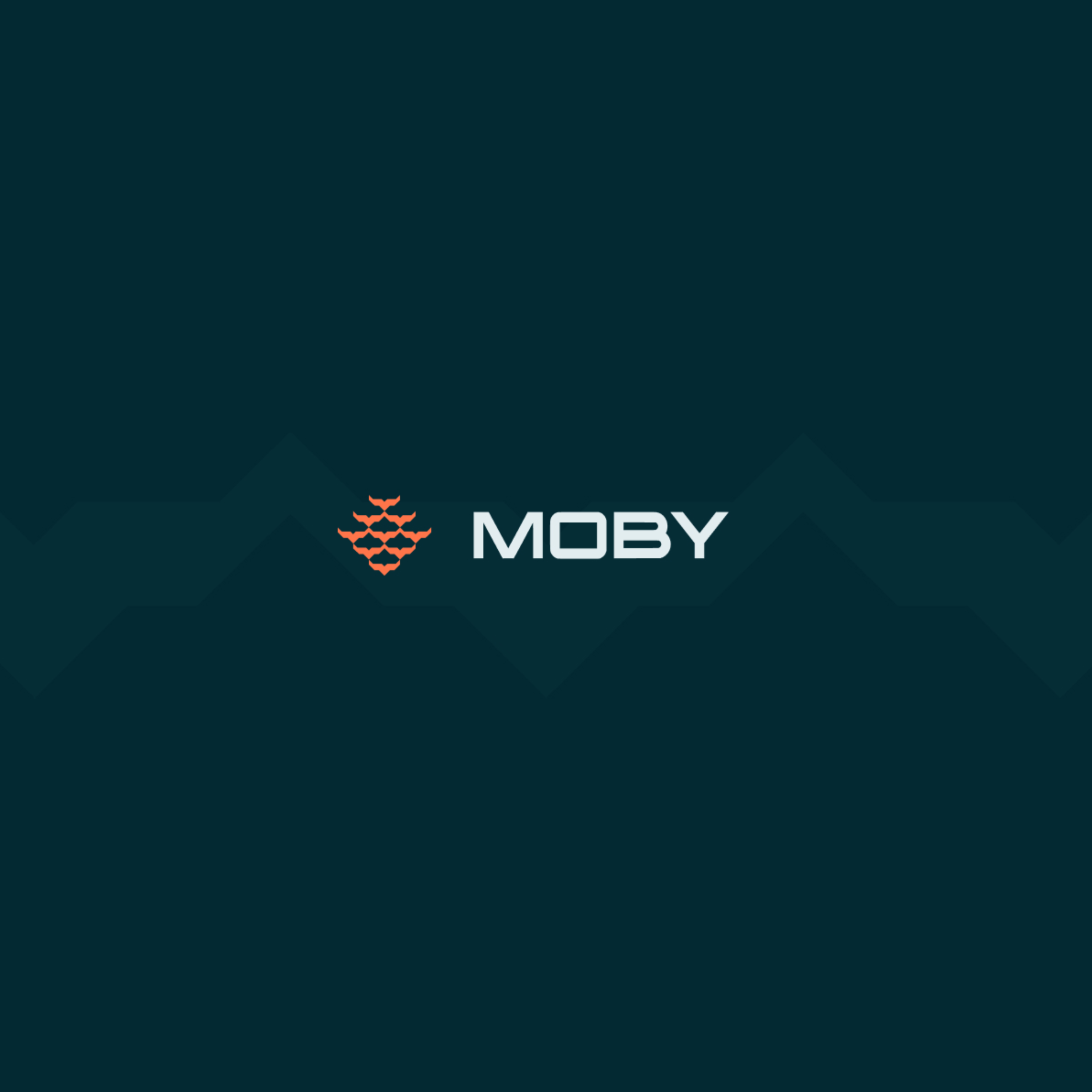 Moby Robotics